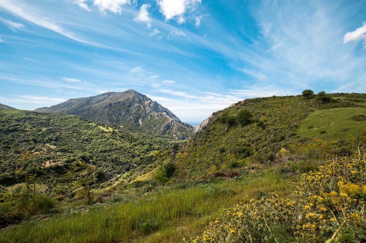 Anna Boutique Villas Μιξόρρουμα Εξωτερικό φωτογραφία